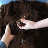 Making Compost