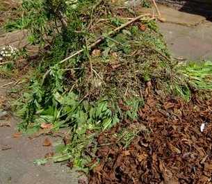 Compost Chopping