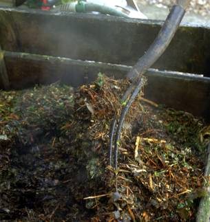 Making Compost